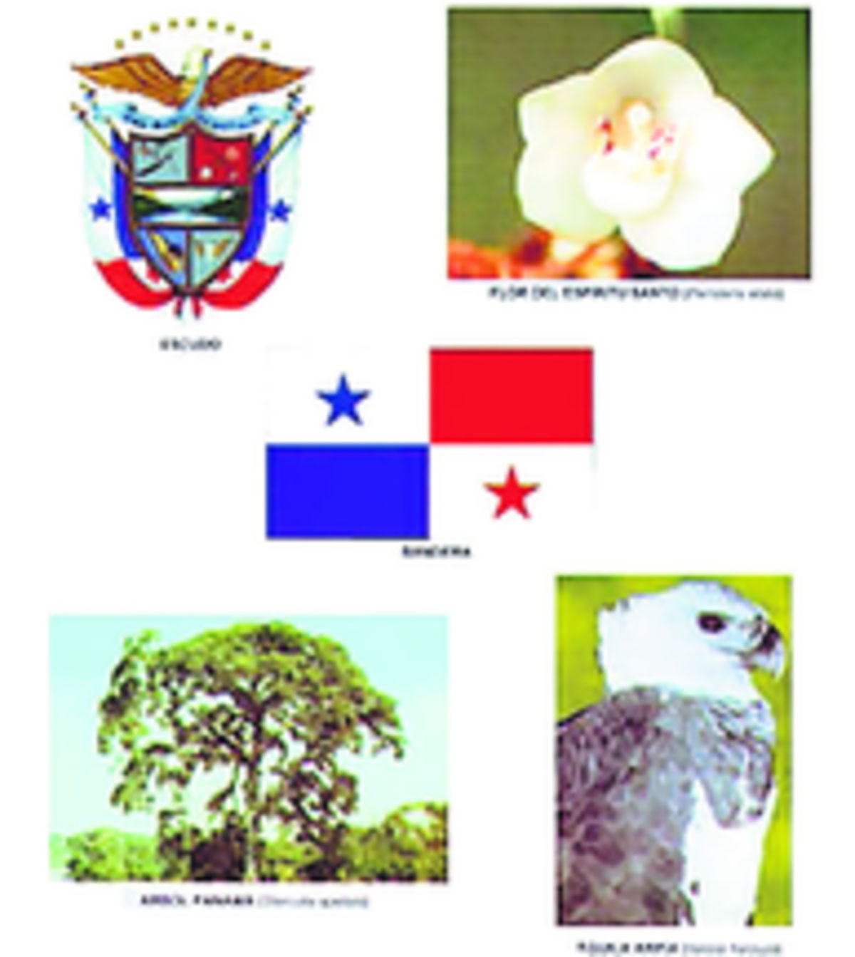 Simbolos Patrios Y Elementos Representativos De Panama Images