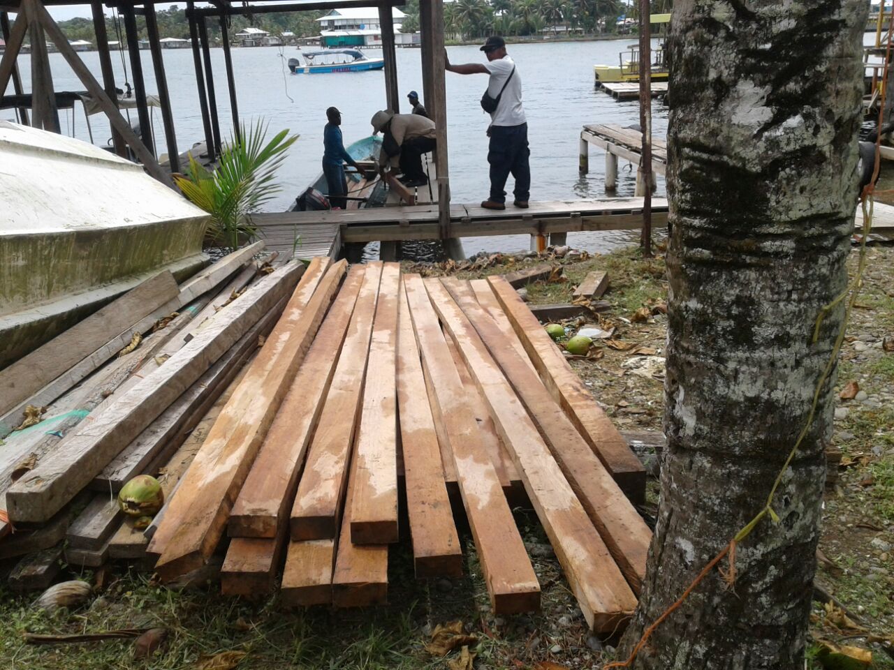 Confiscan madera en manglares de Isla Bastimentos - Crítica