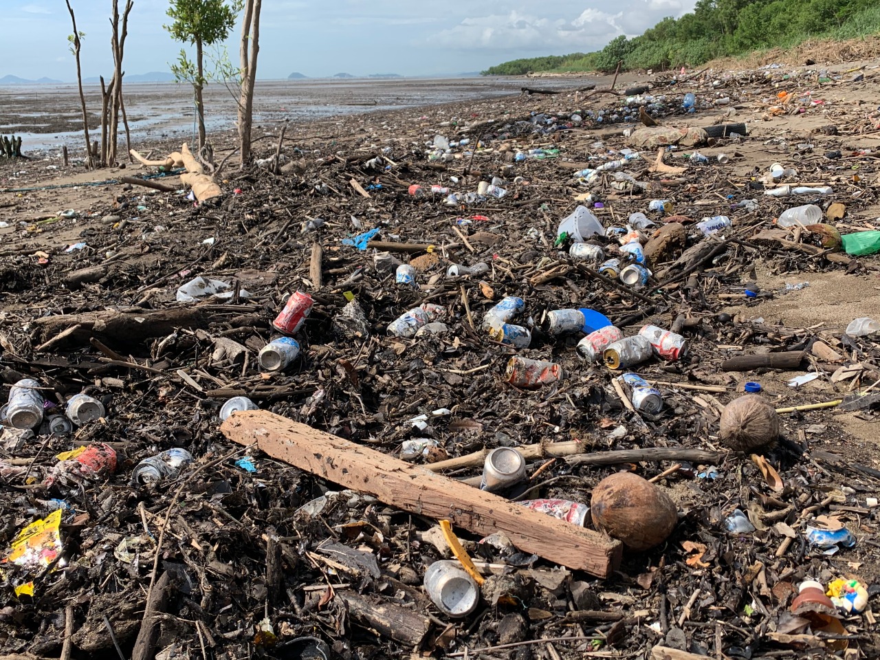 Lanzan Iniciativa Para Luchar Contra La Contaminación En Los Ríos De Panamá Critica 